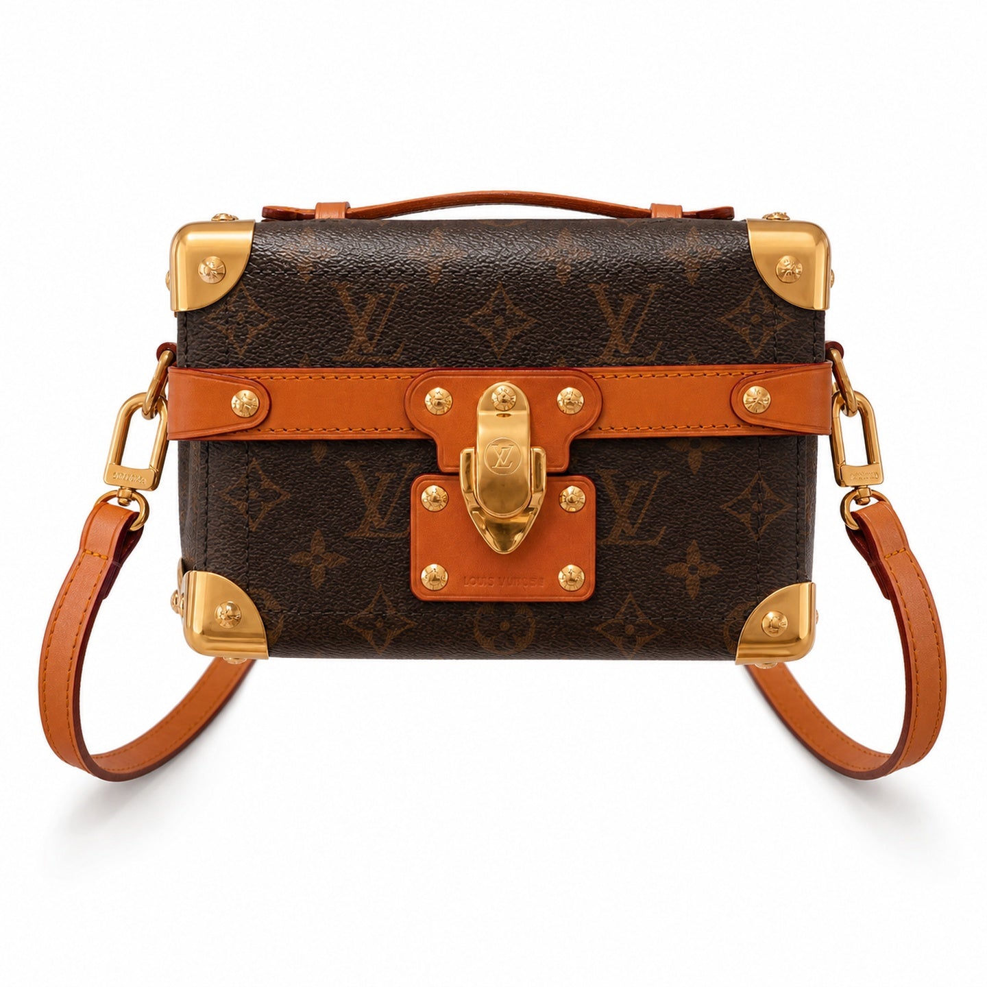 Louis Vuitton Canvas Leather Handbag