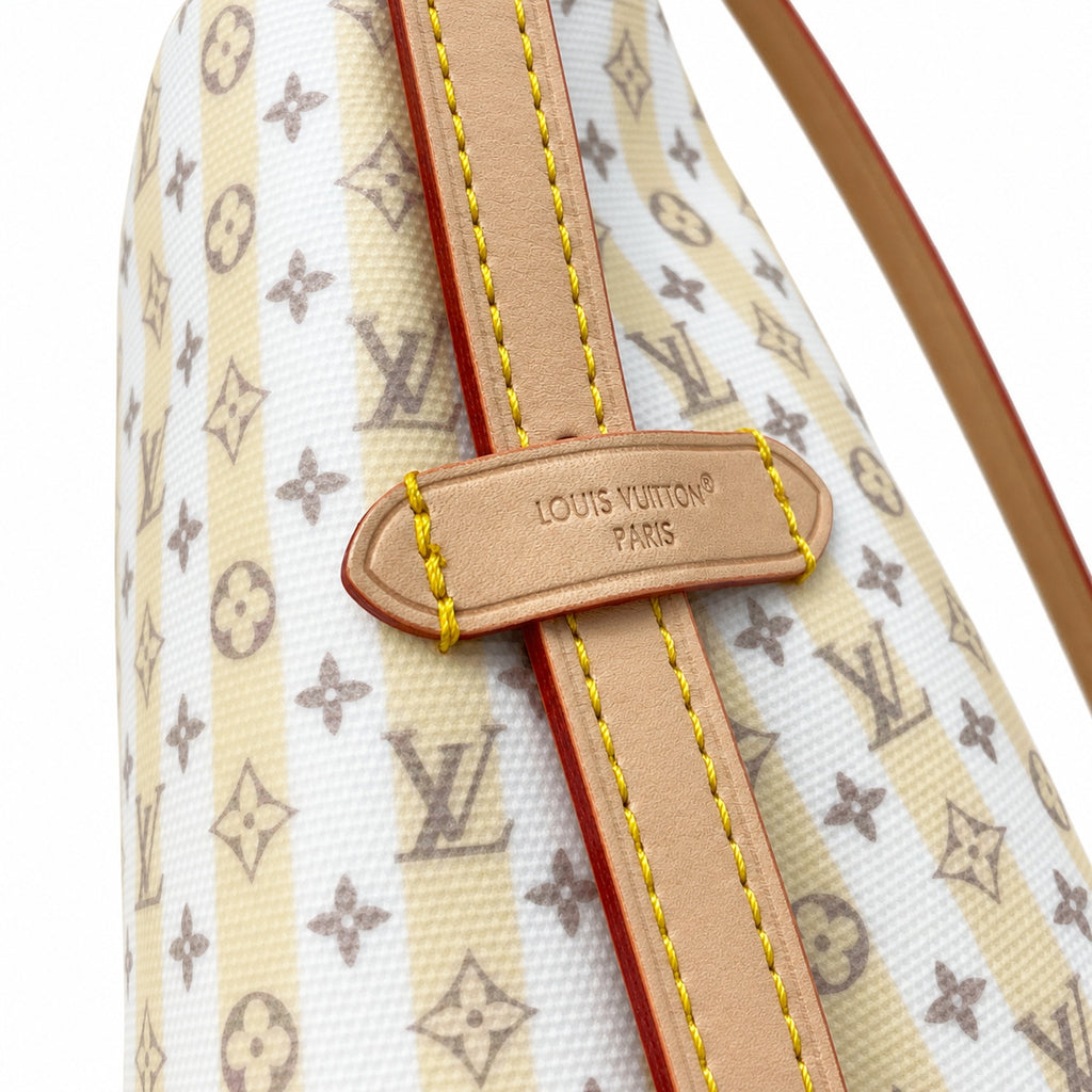 Louis Vuitton CarryAll Mini Canvas Leather Handbag
