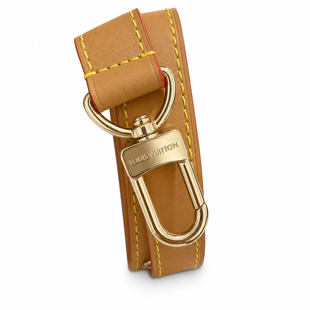 Louis Vuitton Loop Leather Handbag