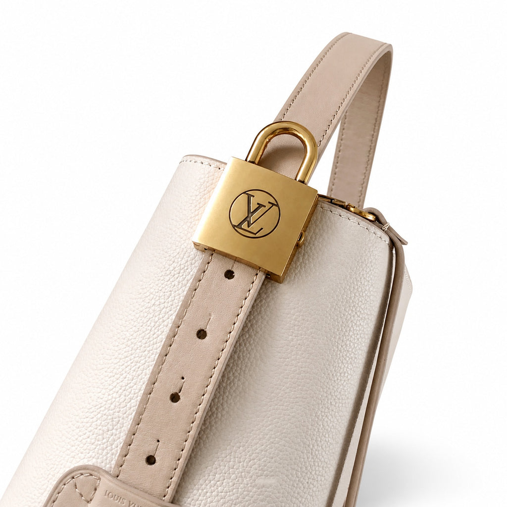 Louis Vuitton Low Key Leather Black White Brown Handbag