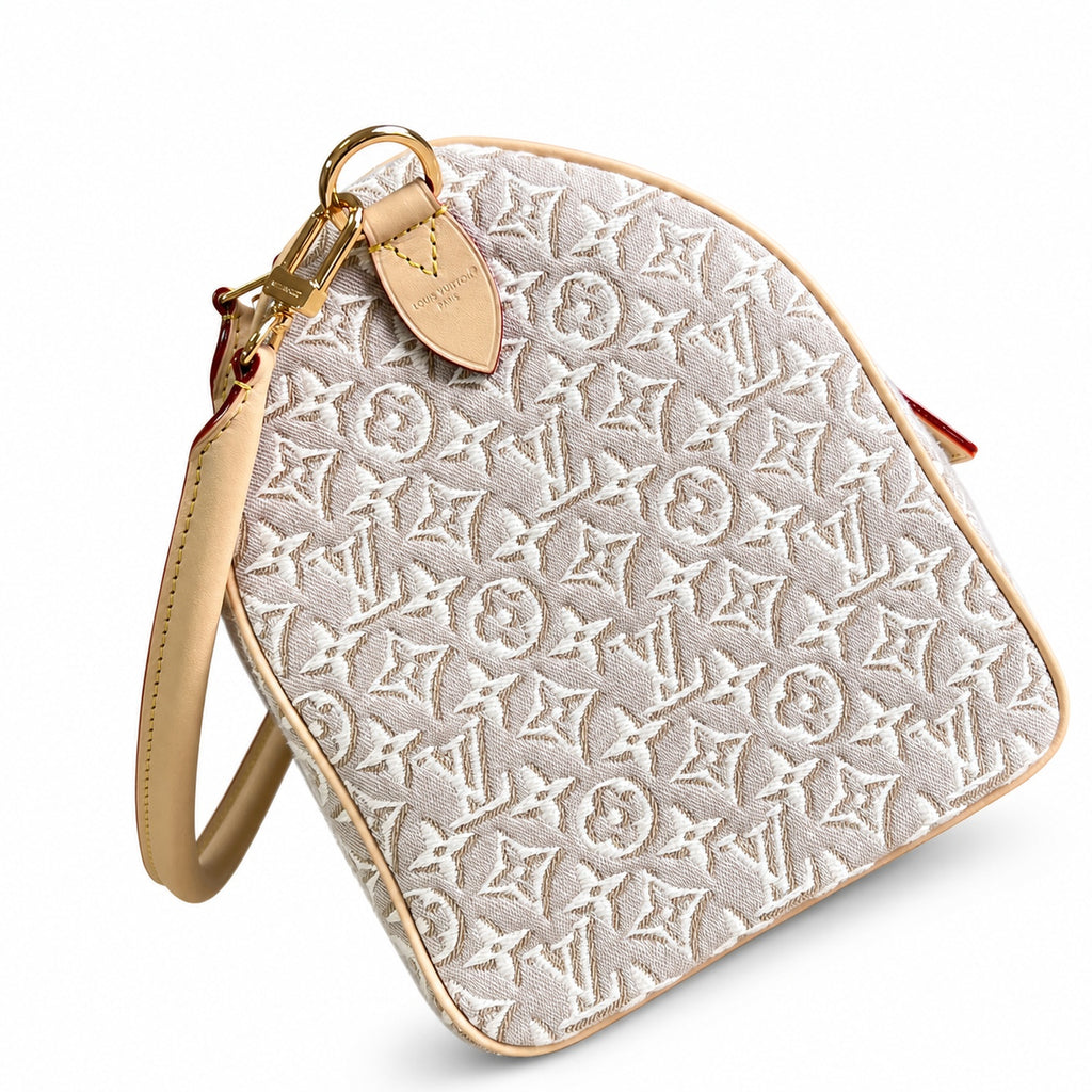 Louis Vuitton Speedy Embroidered Canvas Jacquard Leather Handbag