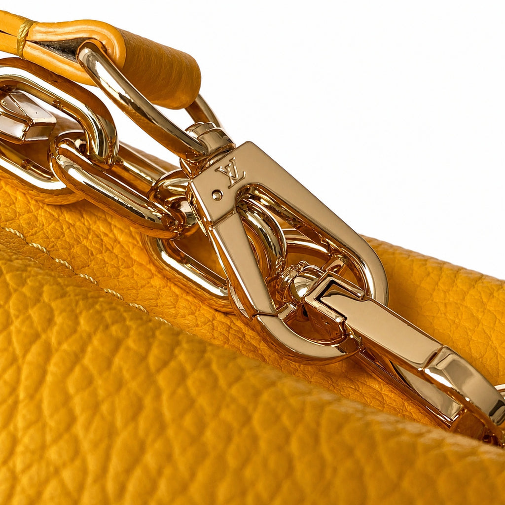 Louis Vuitton Capucines Small Leather Handbag
