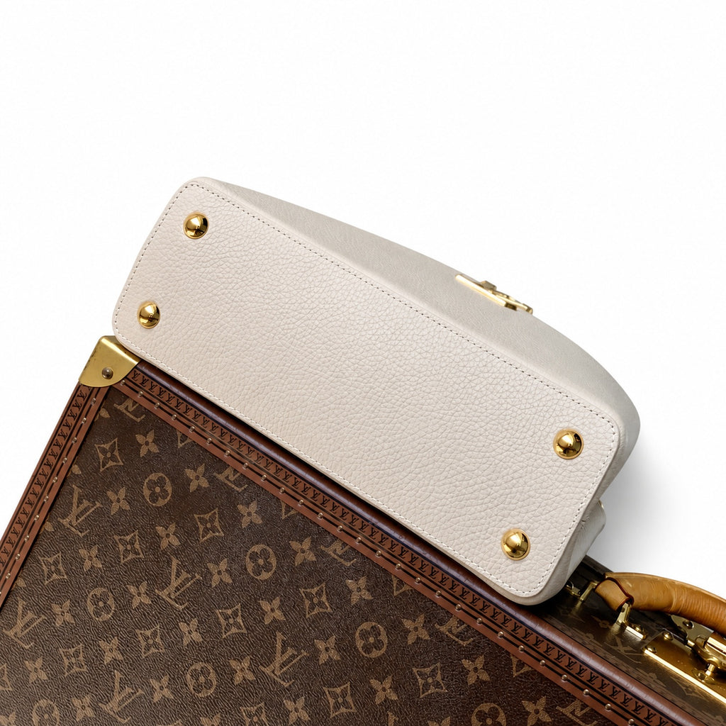 Louis Vuitton Capucines Medium Leather Gray Handbag