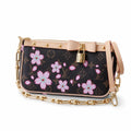 Louis Vuitton Takashi Murakami Canvas Leather Handbag