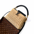 Louis Vuitton Capucines Small Black Handbag