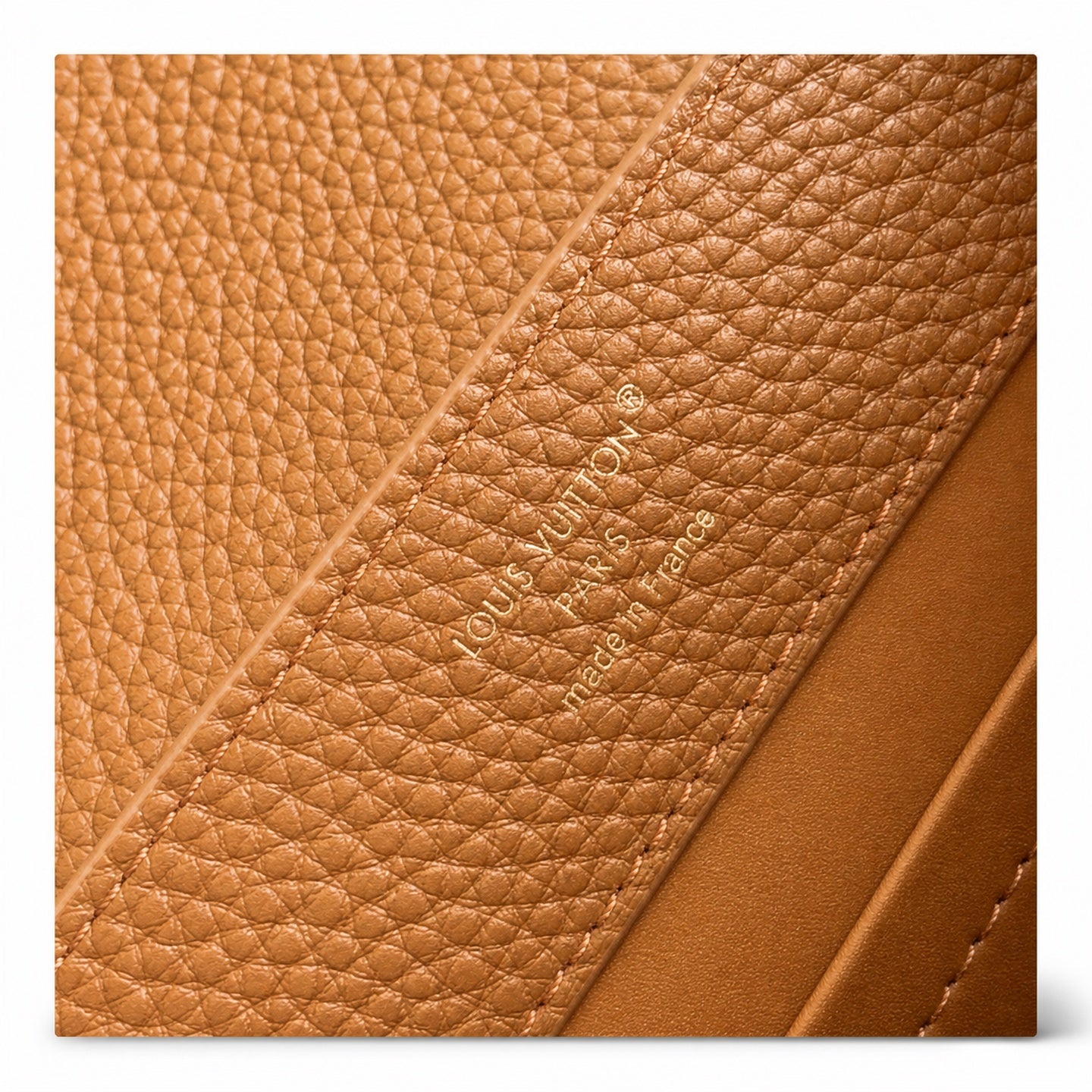 Louis Vuitton Capucines Leather Handbag
