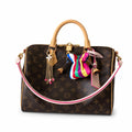 Louis Vuitton Speedy Leather Handbag