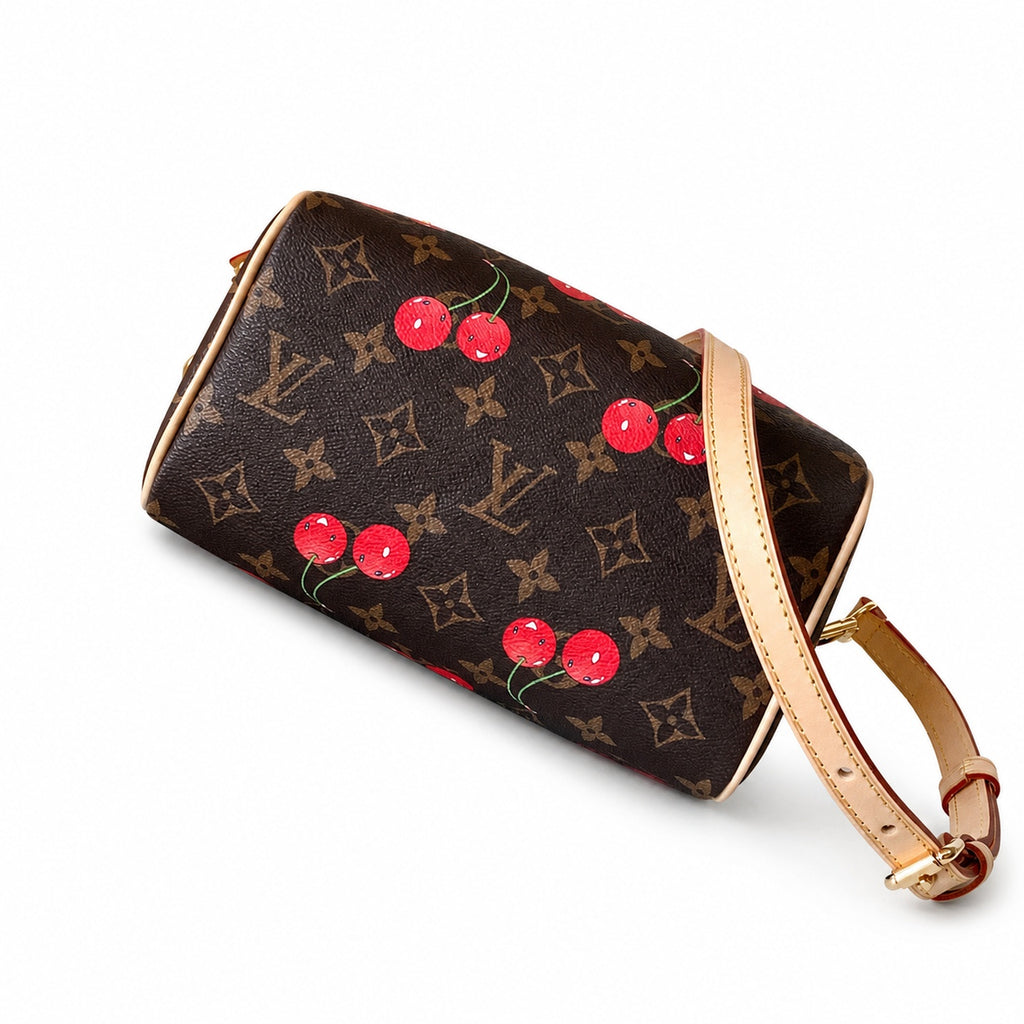 Louis Vuitton Speedy Bandouliere Takashi Murakami Canvas Leather Handbag