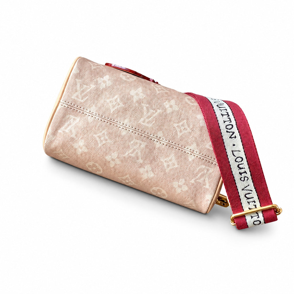 Louis Vuitton Speedy Grace Coddington Double Zip Canvas Leather Handbag
