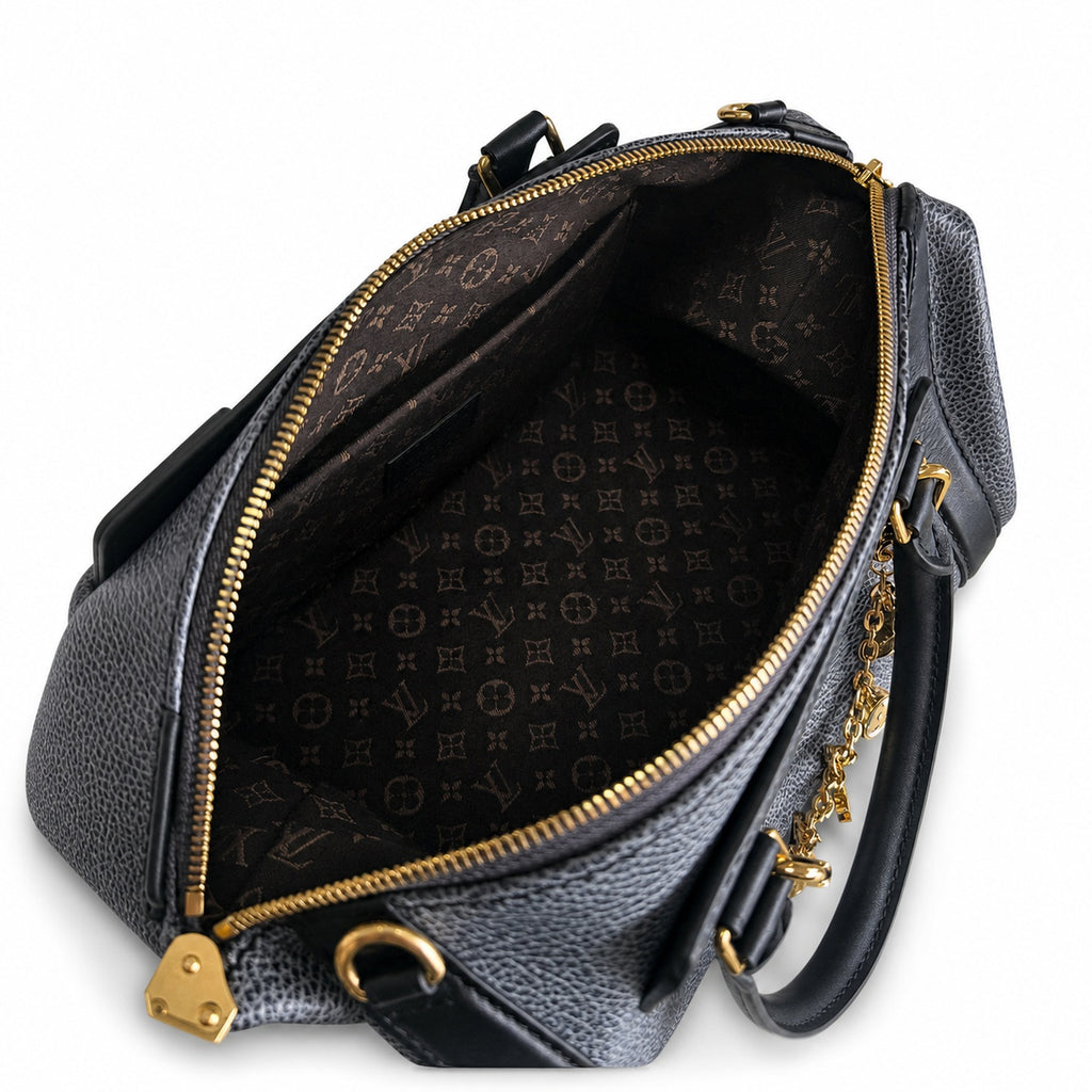 Louis Vuitton Medium Leather Gray Blue Handbag