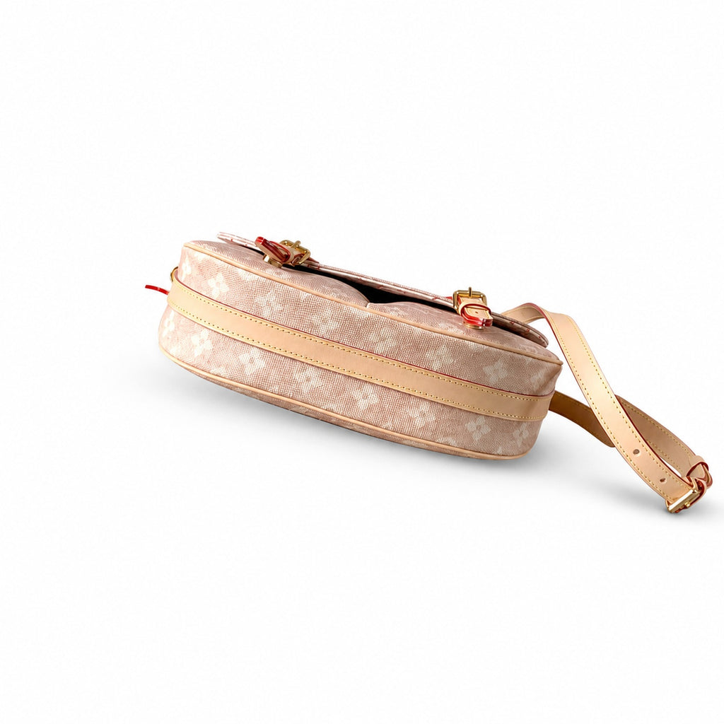 Louis Vuitton Grace Coddington Canvas Leather Handbag