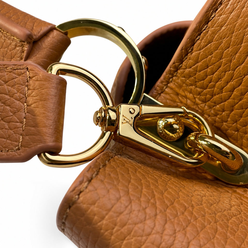 Louis Vuitton Capucines Leather Brown Handbag