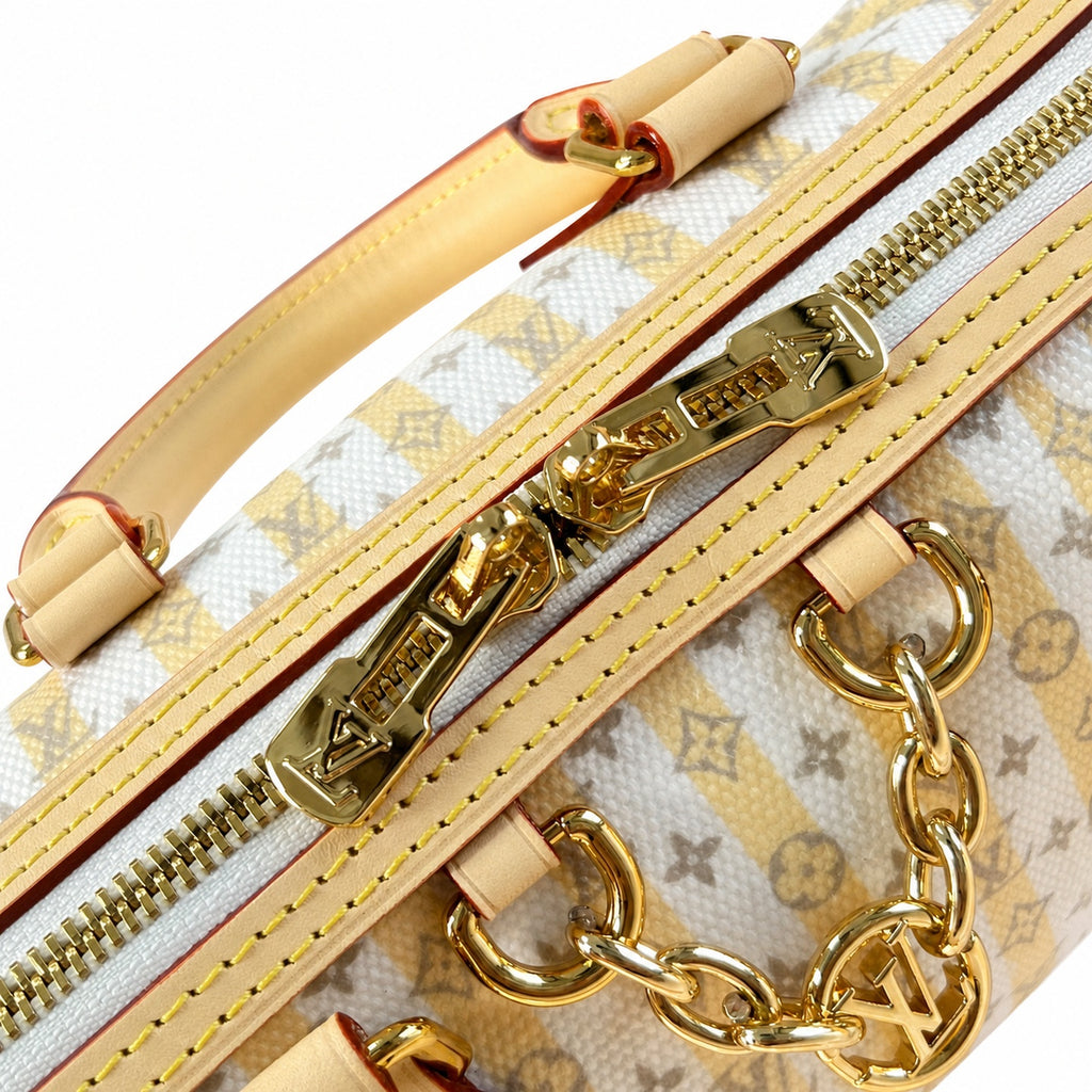 Louis Vuitton Speedy Bandouliere Mini Canvas Leather Handbag