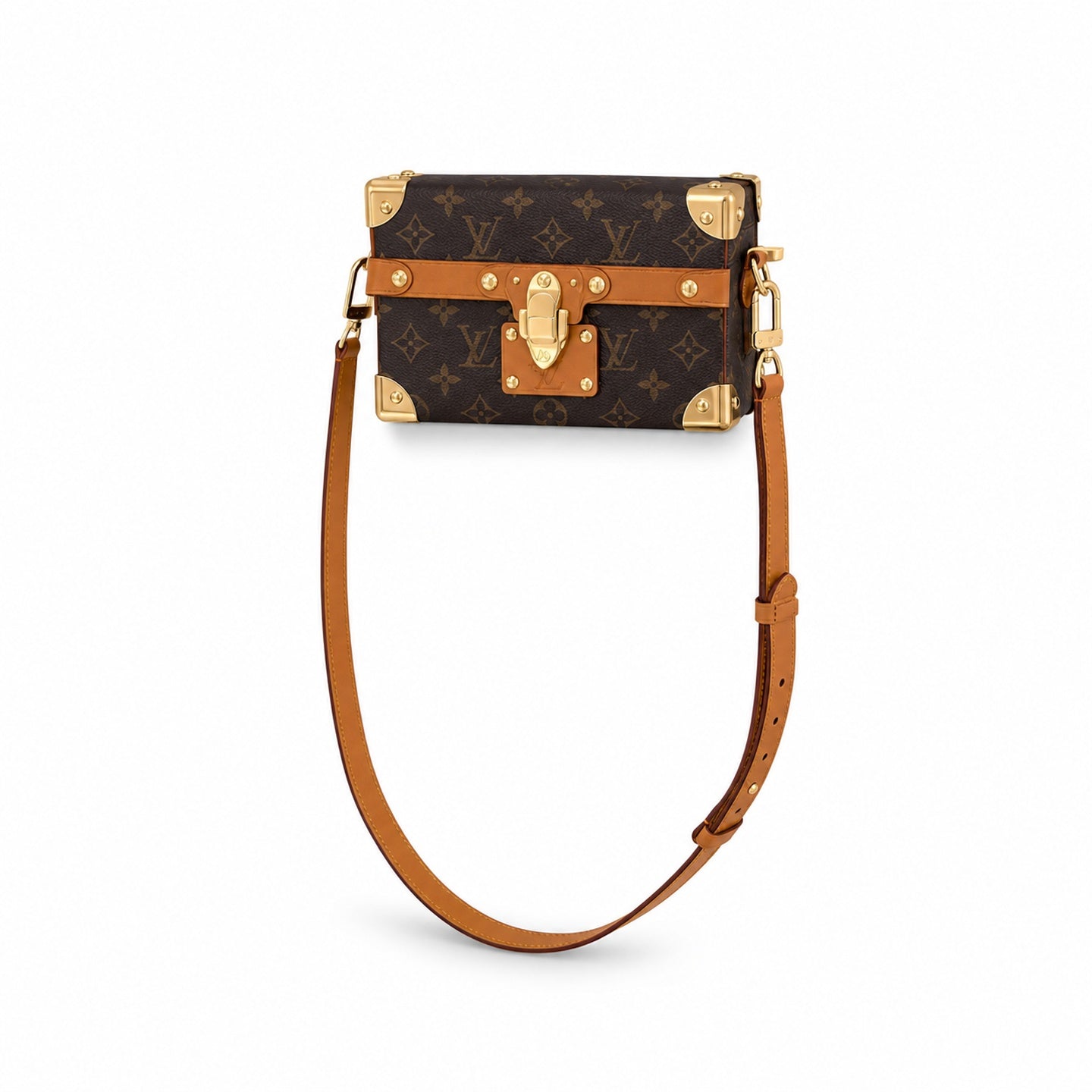 Louis Vuitton Canvas Leather Handbag