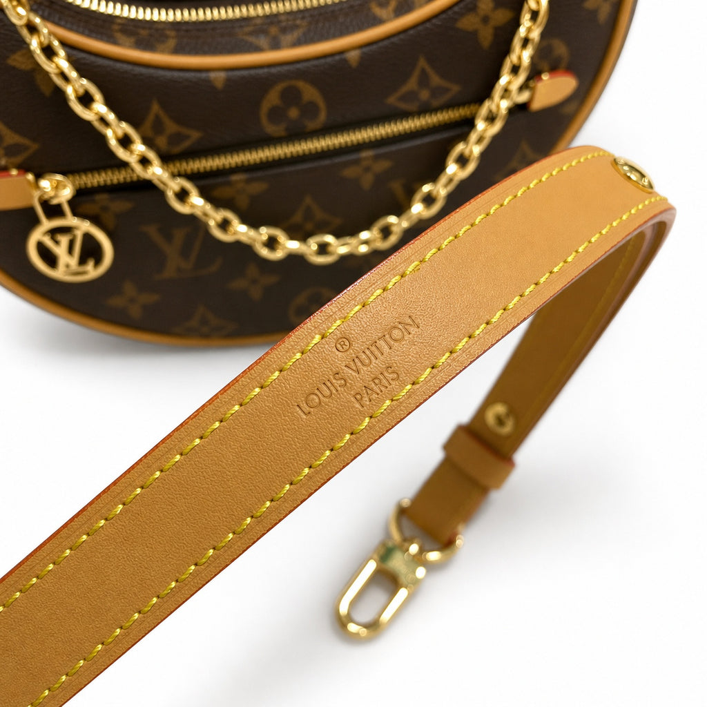 Louis Vuitton Loop Leather Handbag