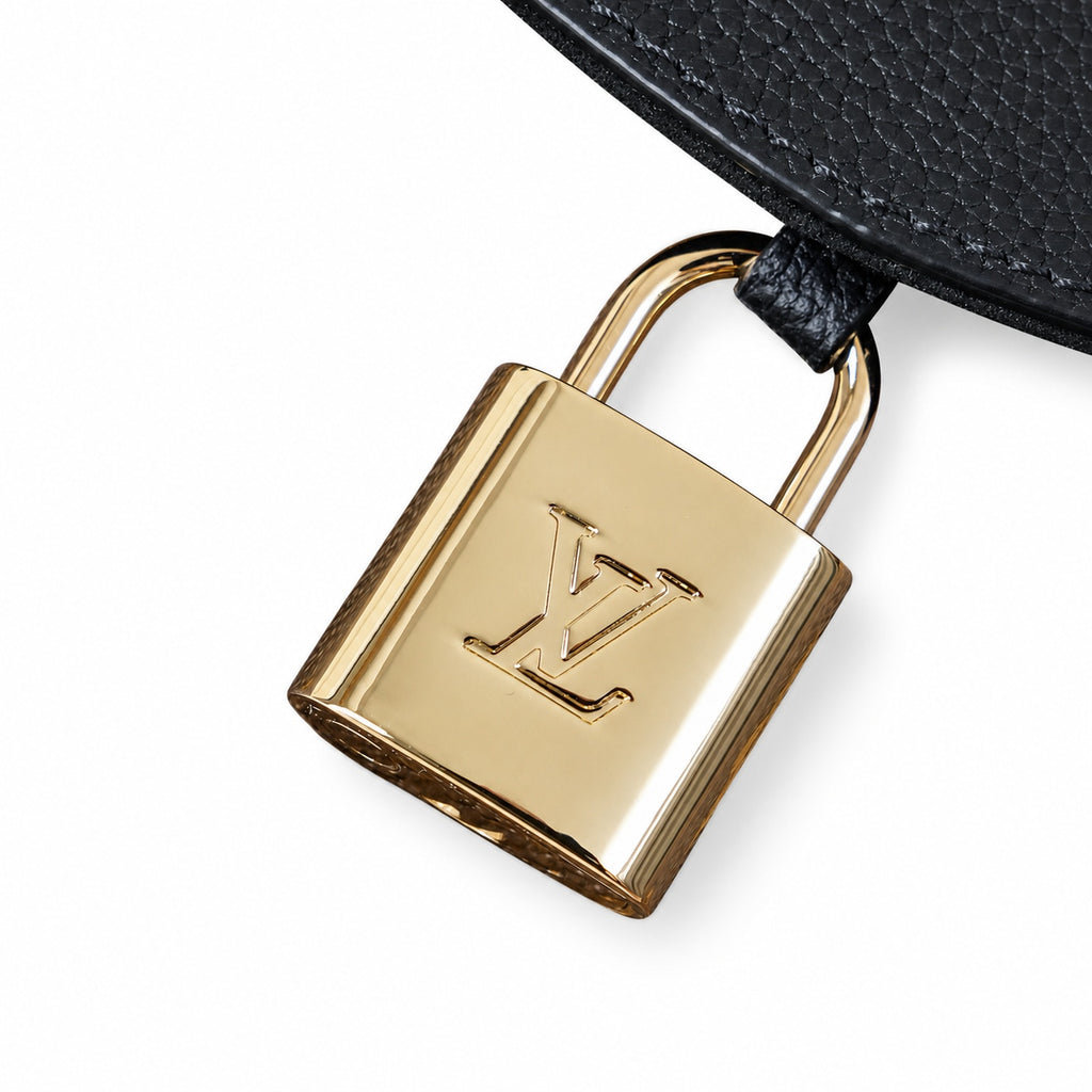 Louis Vuitton Canvas Leather Black Gold Handbag