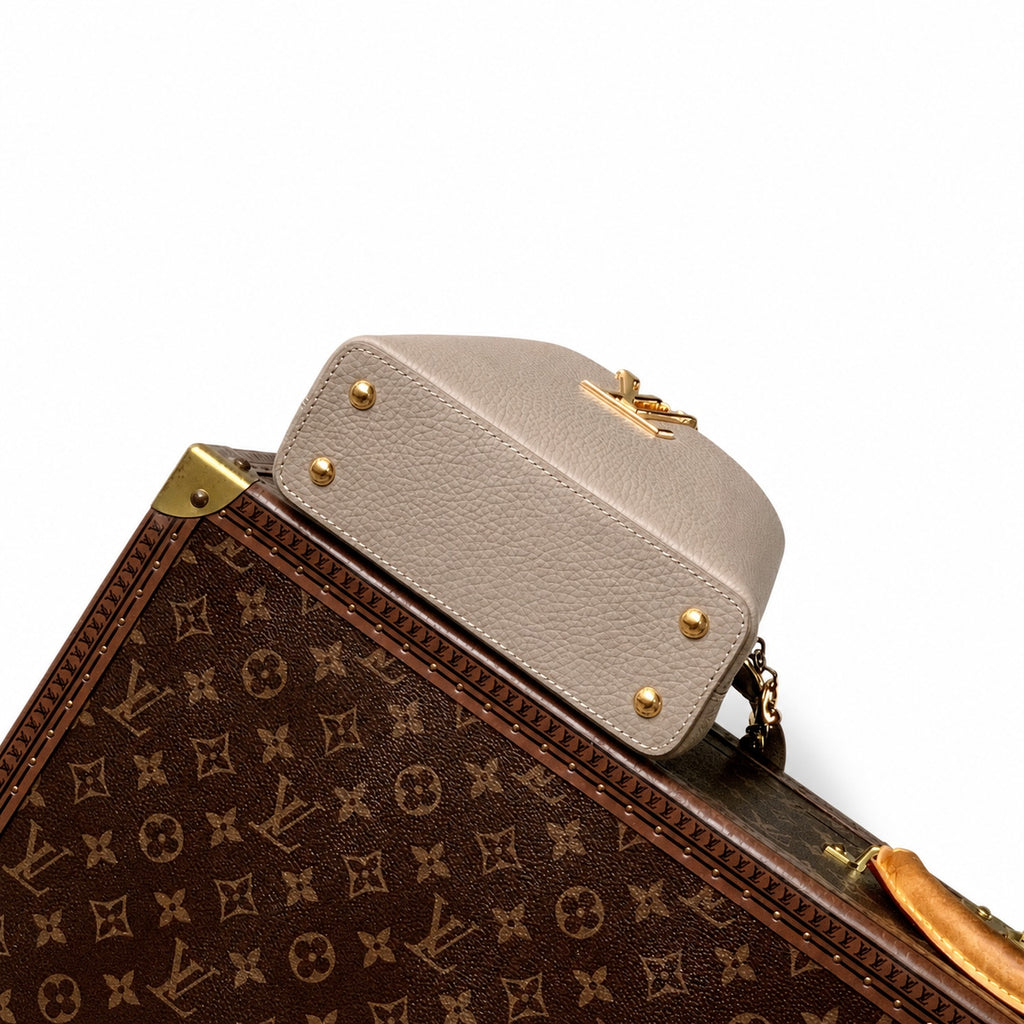 Louis Vuitton Capucines Mini Leather Gray Handbag