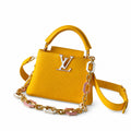 Louis Vuitton Capucines Small Leather Handbag