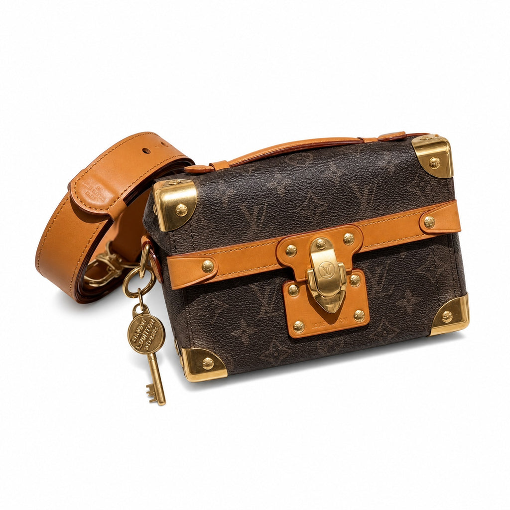 Louis Vuitton Canvas Leather Handbag