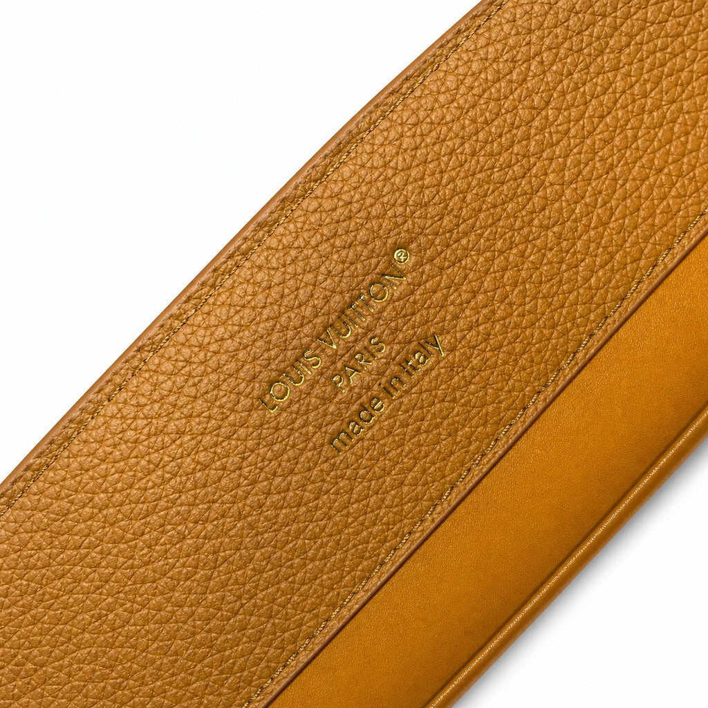 Louis Vuitton Capucines Leather Brown Handbag