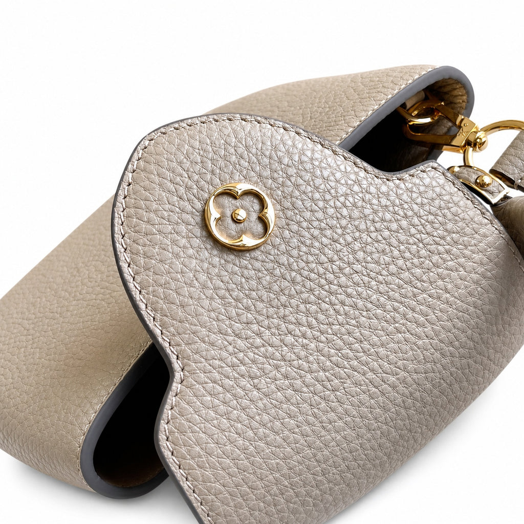Louis Vuitton Capucines Small Leather Gray Gold Handbag