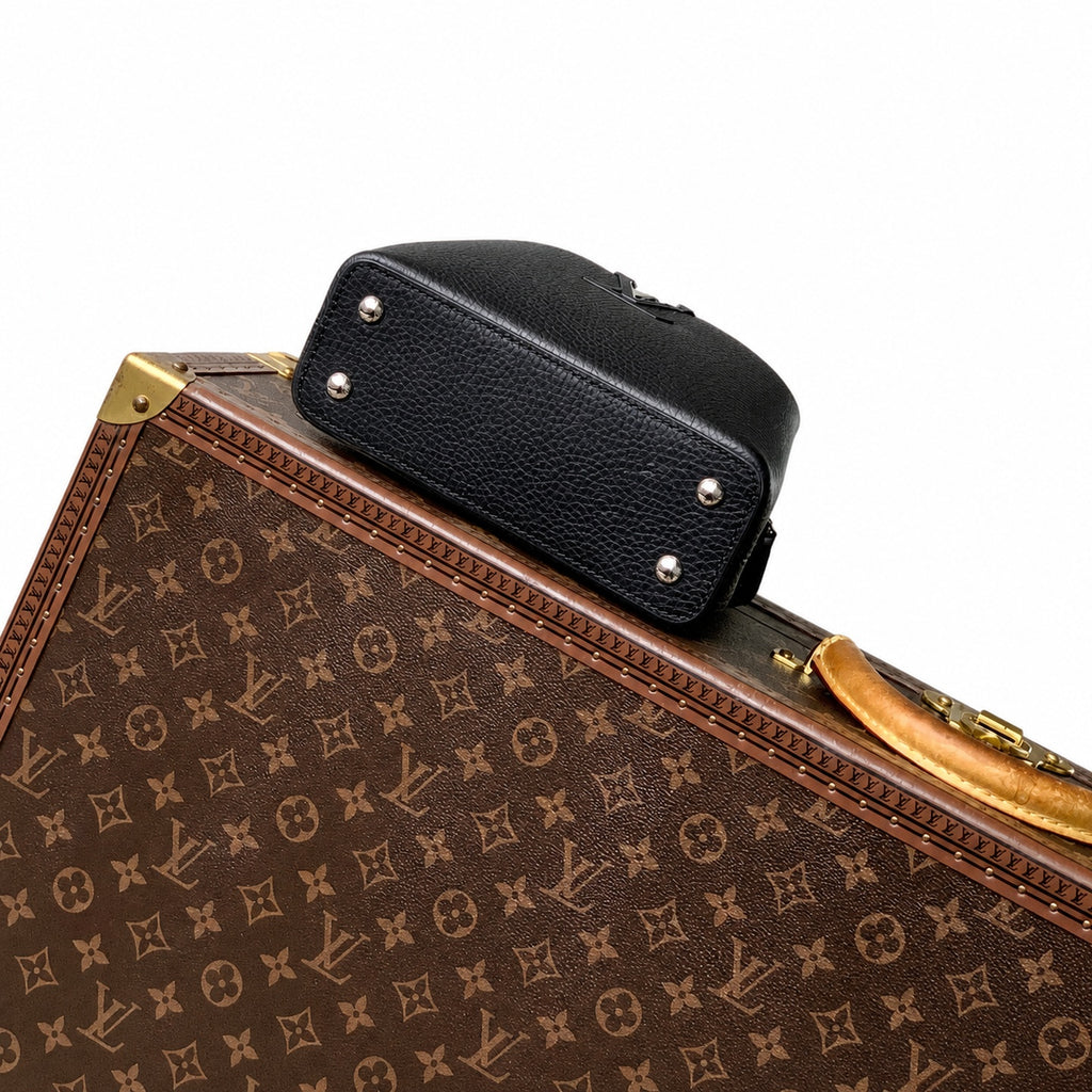 Louis Vuitton Capucines Mini Snakeskin Leather Handbag
