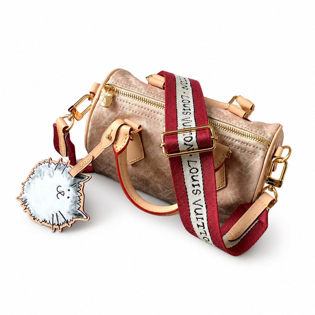 Louis Vuitton Speedy Grace Coddington Double Zip Canvas Leather Handbag