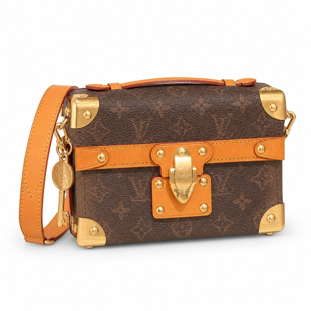 Louis Vuitton Canvas Leather Handbag