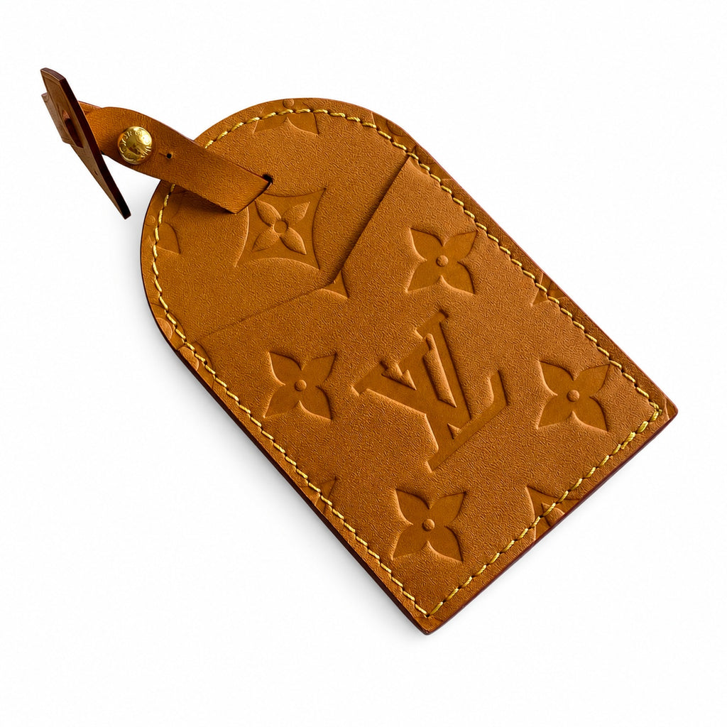 Louis Vuitton Canvas Handbag