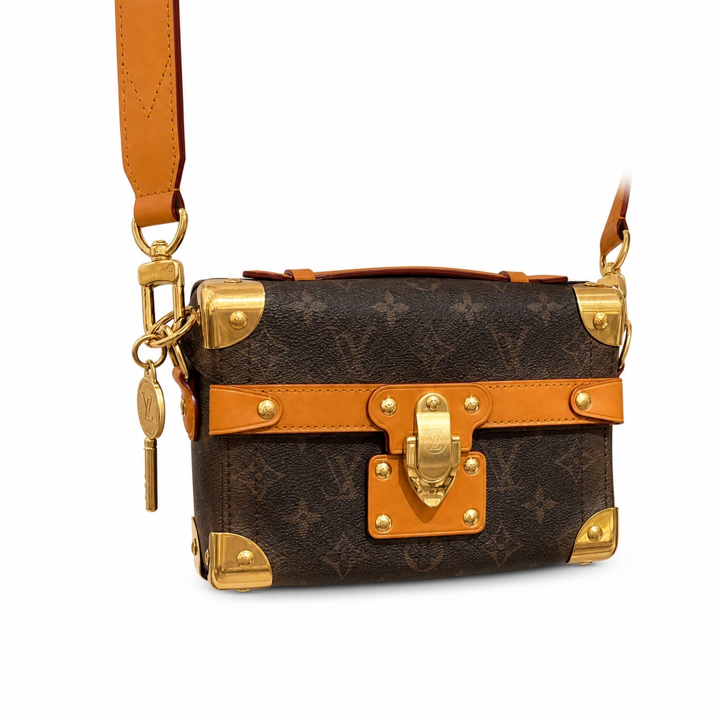 Louis Vuitton Canvas Leather Handbag