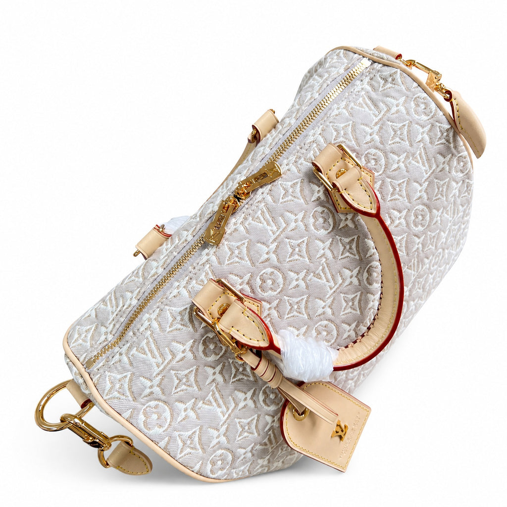Louis Vuitton Speedy Embroidered Canvas Jacquard Leather Handbag