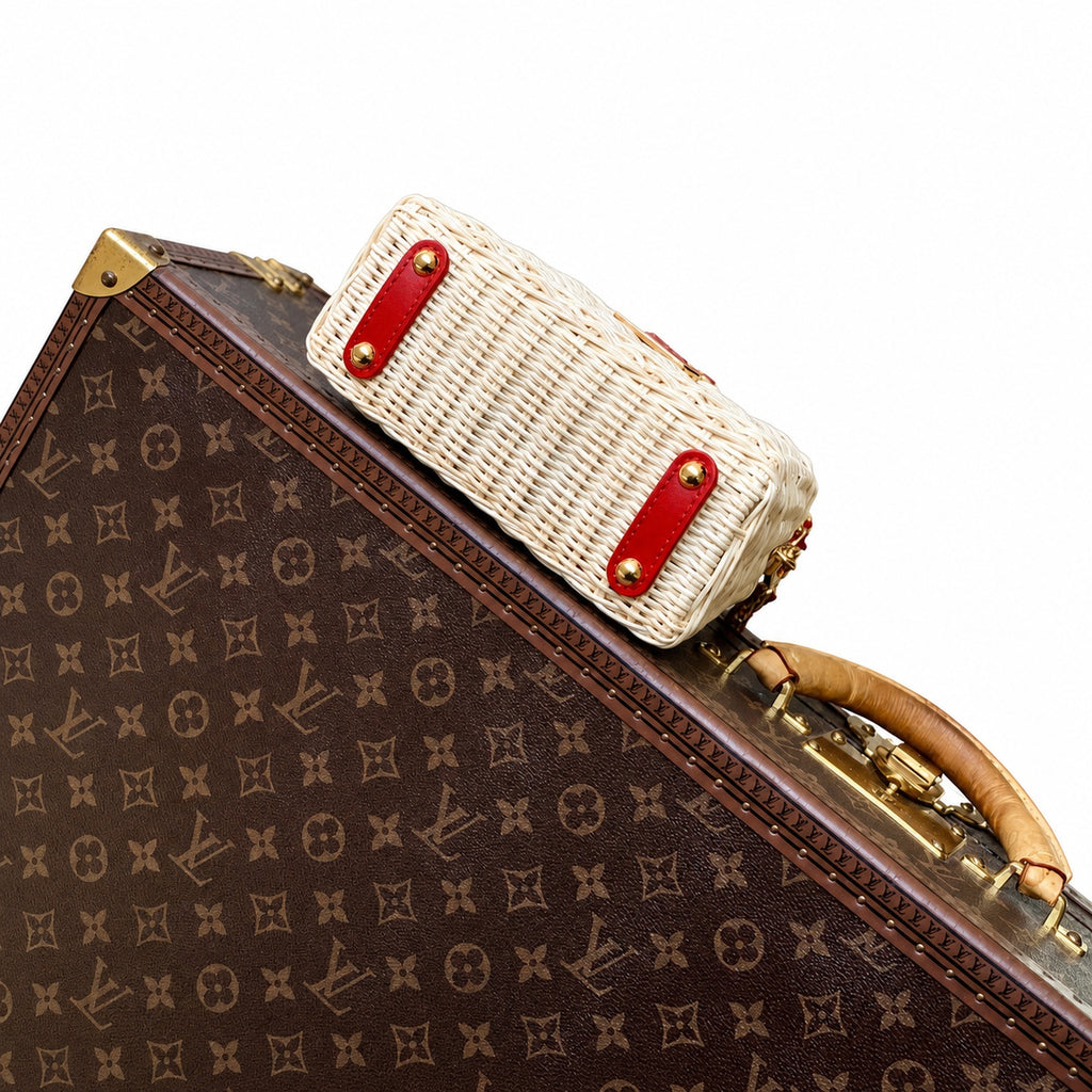 Louis Vuitton Capucines Takashi Murakami Mini Handbag